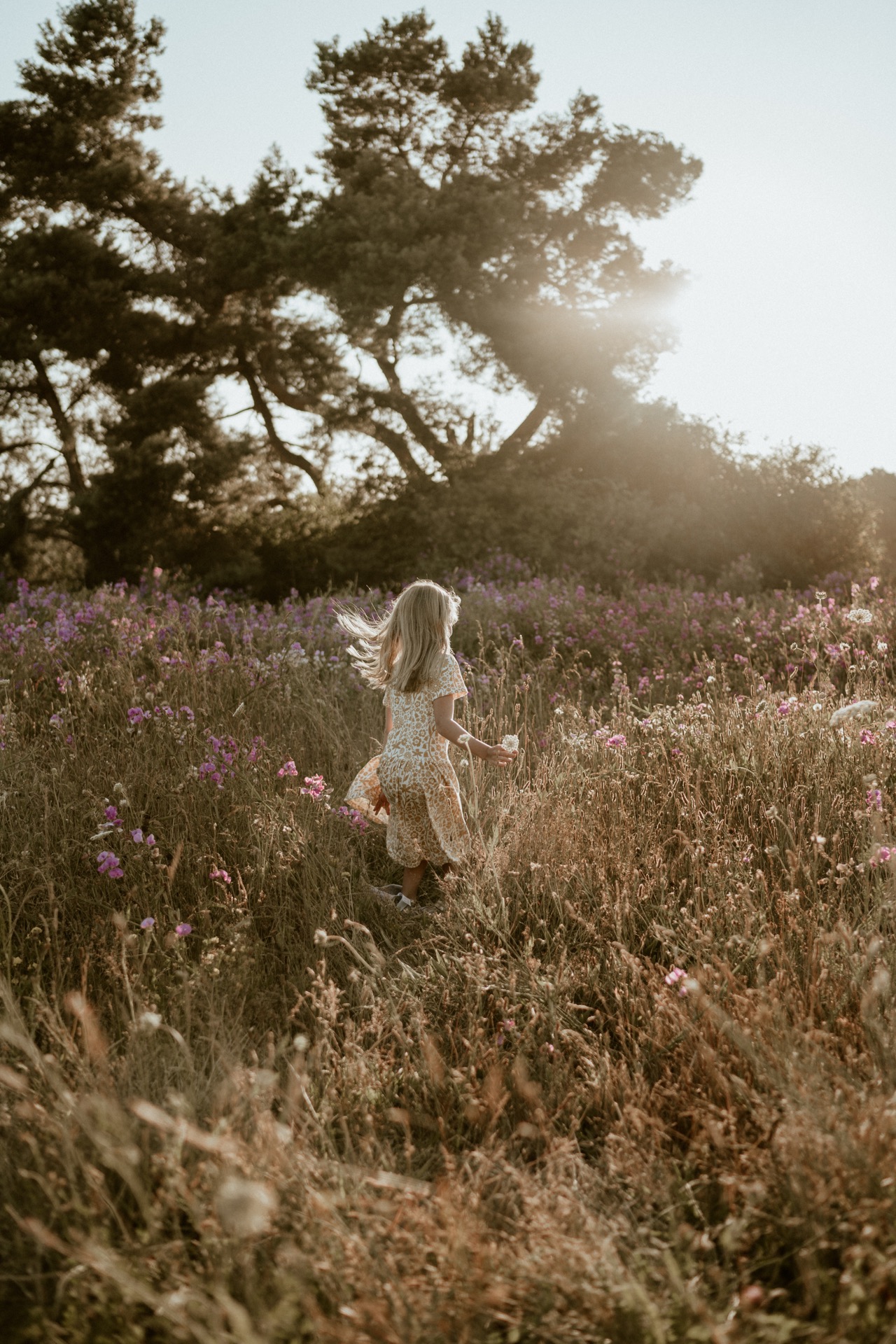 A children's portrait of a blonde little girl walking in pink wildflower field at Discovery Park near Seattle, WA