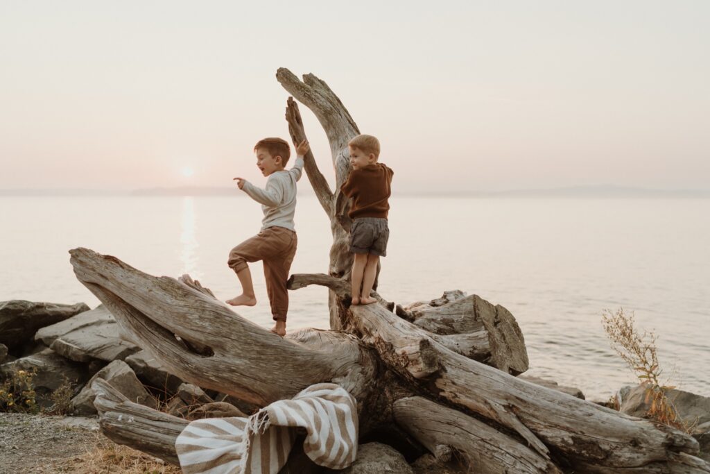 Two little boys playing on driftwood logs on beach at sunset.