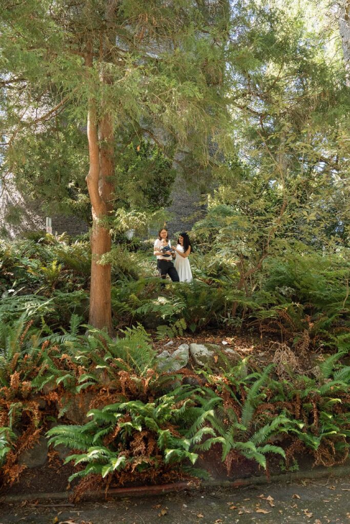 family portraits at volunteer park seattle