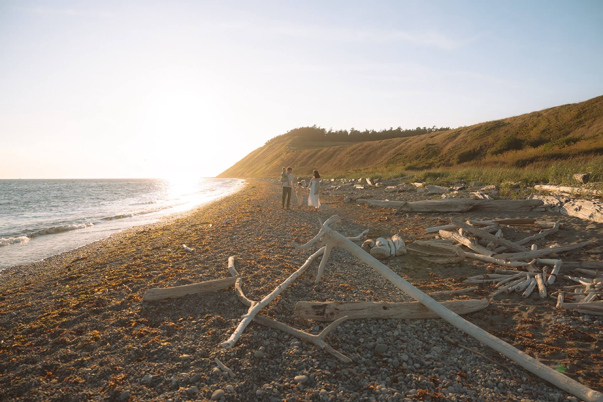 family summer photos at ebey's landing