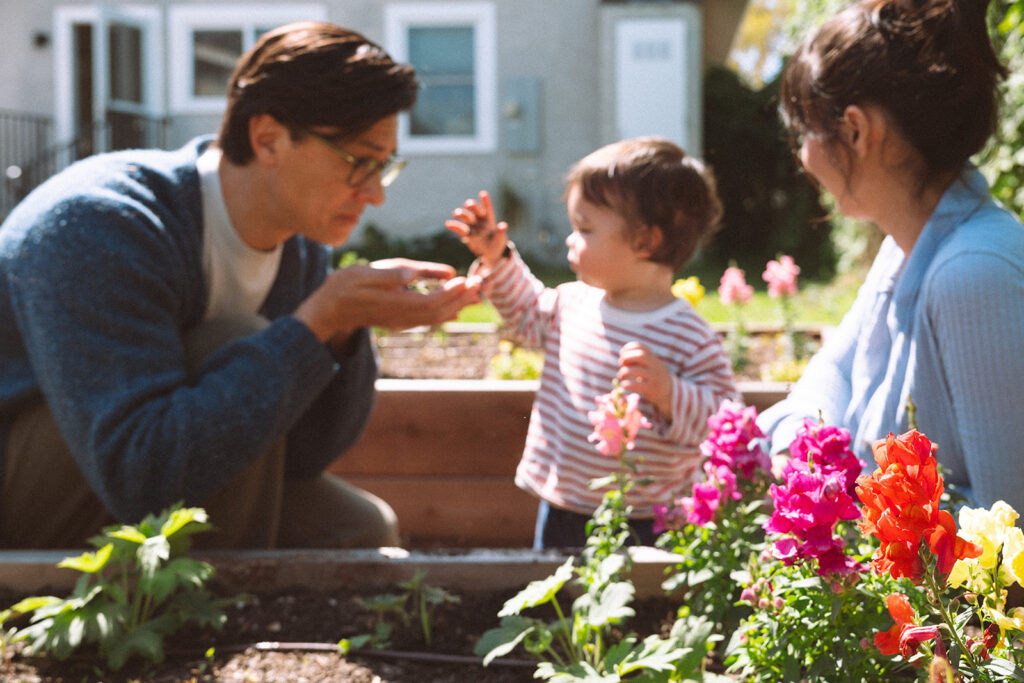 Father kneeling at raised garden bed with toddler and mother, colorful snapdragons in the foreground during a backyard family session