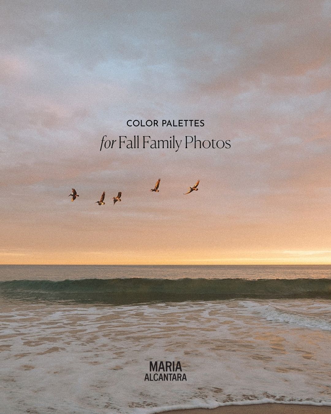 Pelicans flying over the ocean at sunset in Orange County, with the title "Color palettes for fall family photos" by Maria Alcantara.
