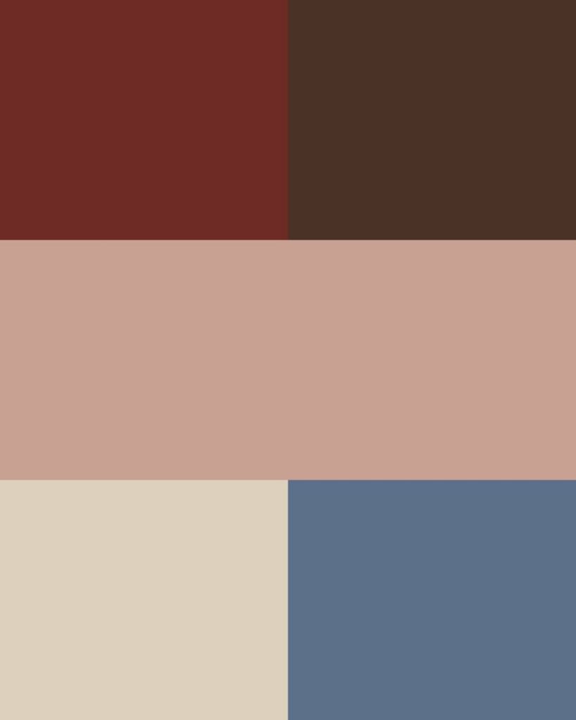 Fall family photo color palette for golden hour at a park: mahogany red, chocolate brown, muted clay pink, oatmeal, and denim blue.